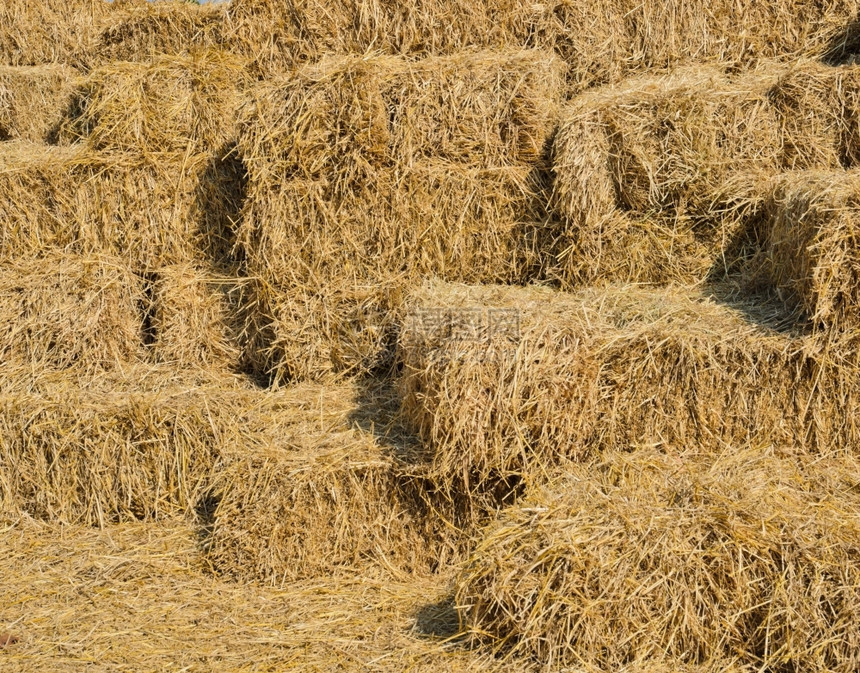 自然一堆稻草正方形乡村的图片