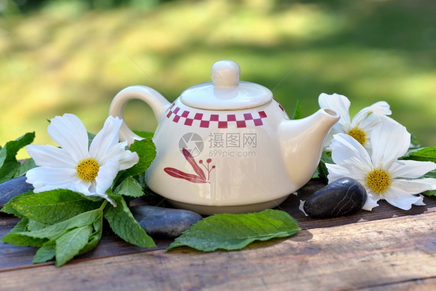 薄荷鲜雾叶和白花中的漂亮茶壶花朵在园的木制桌子上目松弛图片