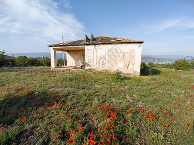 山间的美丽草地和小屋图片