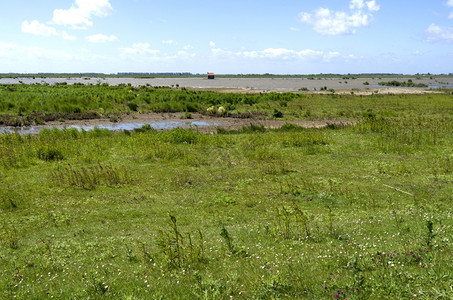 植物Tiengemeten的风景自然水坑图片
