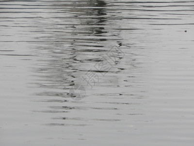 河流中水的纹理雨下表面污渍黑色的一种反射图片