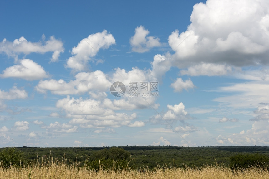 放松夏天非洲南部Kruger公园上空的蓝色天和白云的图片