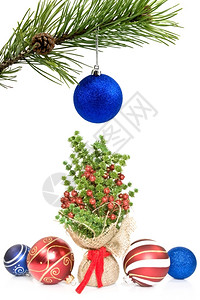 庆典闪亮的白色背景上松树枝和圣诞节装饰品Name新的图片