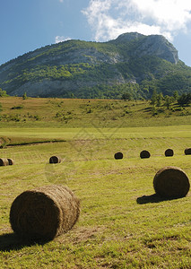 农村的景象背景图片