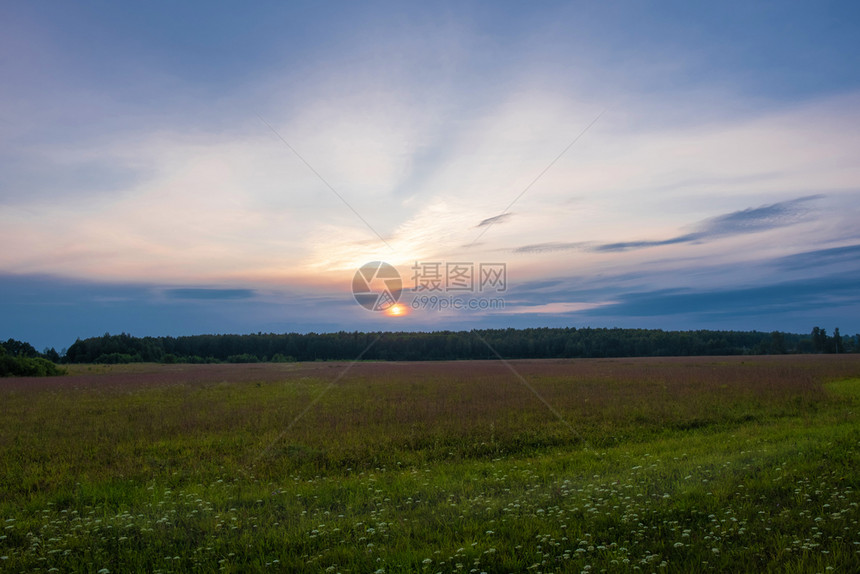 草夏天一小片黄色的日落圆盘太阳在地平线上升起乌云多俄罗斯自然图片