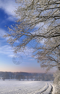 雪乡的日落美景图片