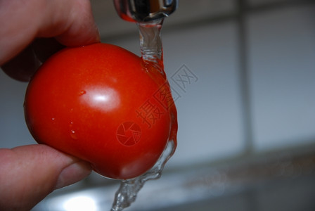 洗涤维他命用流水清洗番茄明亮的图片
