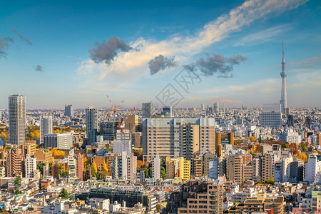日本东京建筑风景背景图片