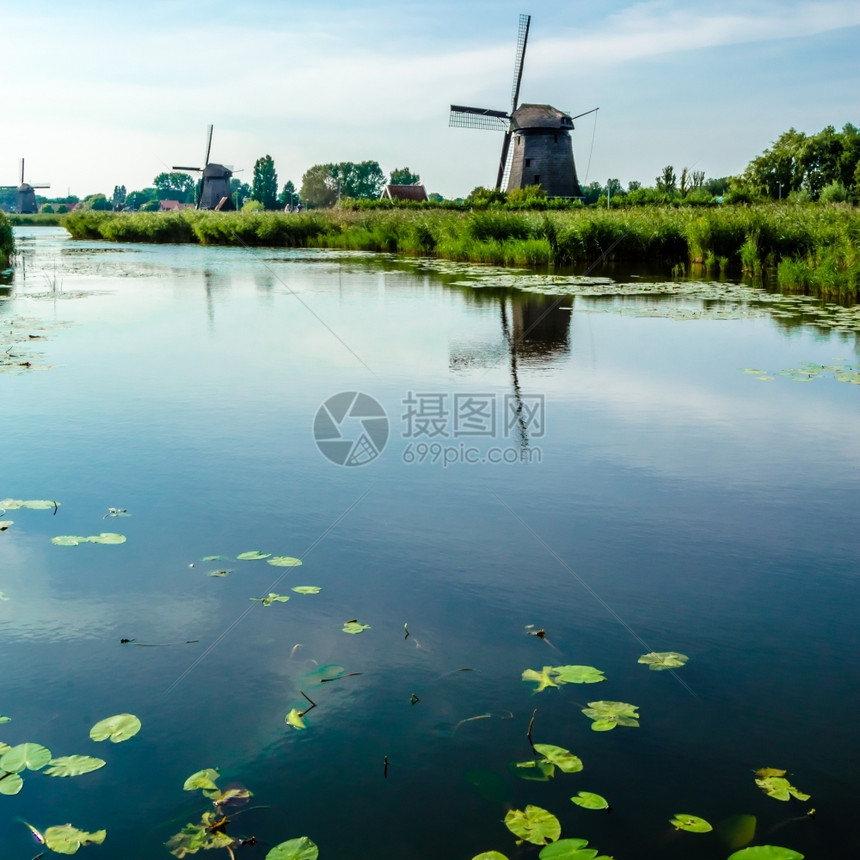 荷兰典型风景水户外绿色图片