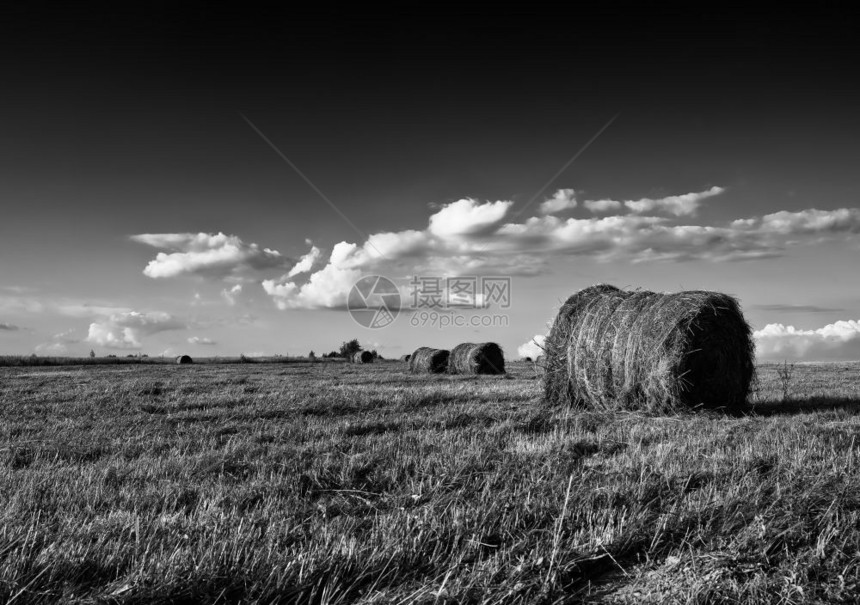 水平黑色和白干草堆地貌背景草门户14云图片