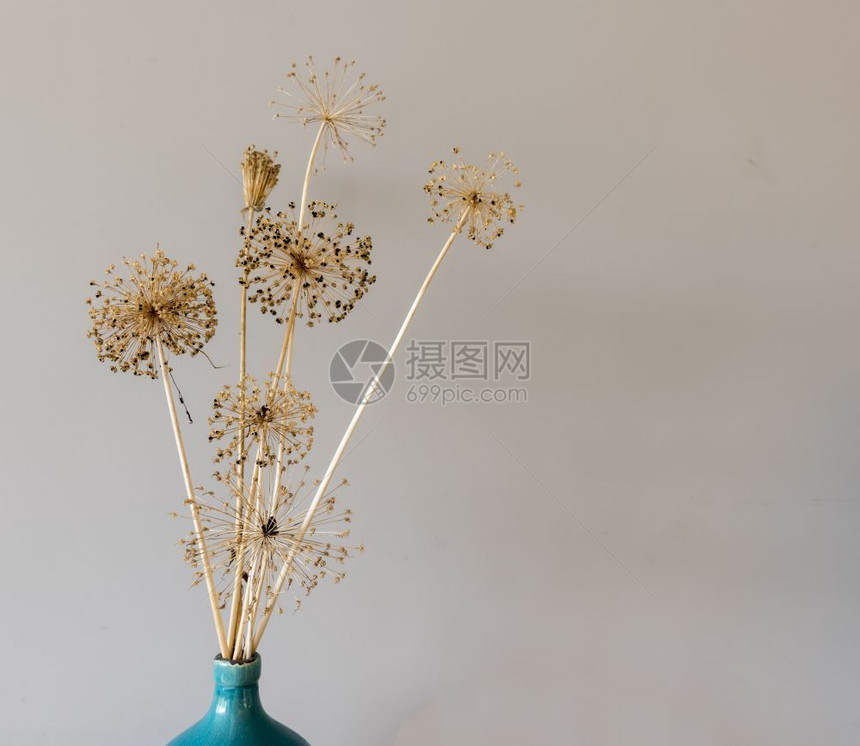 站立或者哪一个洋葱灯泡或蓝花瓶上的美丽干鲜花它站在木制橱柜上洋葱灯泡的美丽干花朵图片