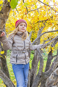 秋天红帽子女孩在树上的照片白色红种人背景图片