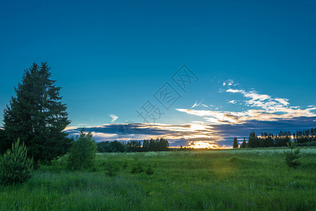 绿色俄罗斯Kostroma州科罗马夏夜美丽的日落地平线天空图片