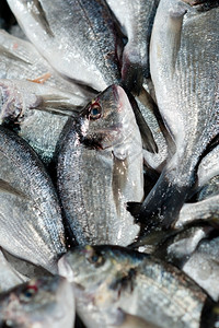 海鲜鲫鱼在食品市场柜台的新鲜鱼图片