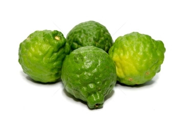 粗糙的Bergamot白种水果孤立于背景生产酸橙图片