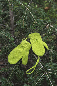 问候连指手套快乐的Fir树枝上的冬季绿色手套图片