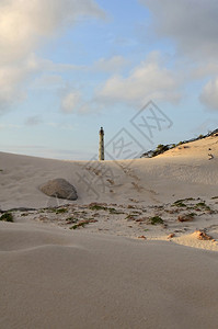 海岸环绕阿鲁巴加利福尼亚灯塔的沙丘遮蔽黎明信标图片