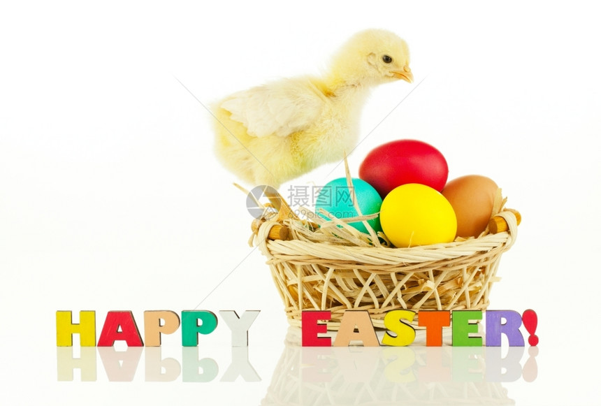 假期家禽带复活节鸡蛋的篮子和白底小鸡肉丰富多彩的图片
