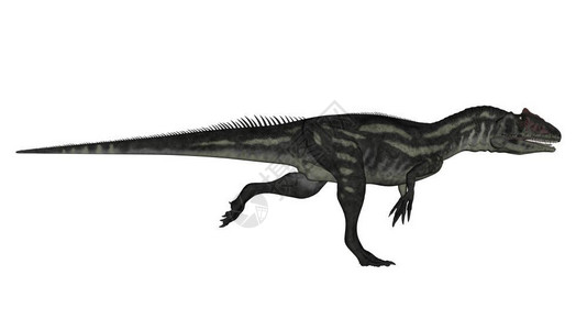 肉食动物鲁努侏罗纪在白色背景中分离的同龙恐3D使同恐运行3D形成图片