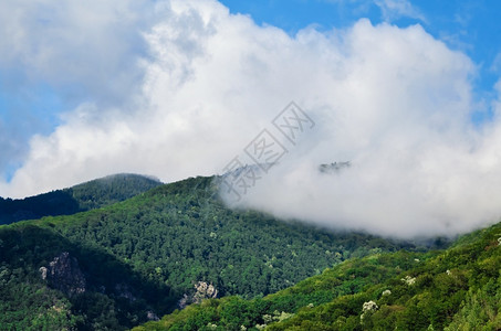 特兰西瓦尼亚语积雨云林地罗马尼亚喀尔巴阡山以维森林覆盖的喀巴阡山背景图片