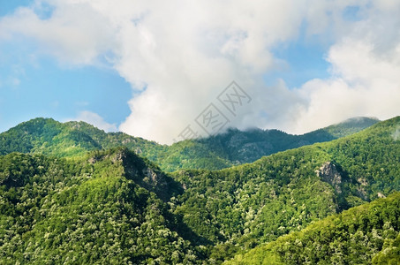 天罗马尼亚以维尔京森林覆盖的喀尔巴阡山多云的南方图片