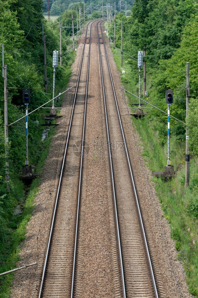 自然森林对两条铁路线的浏览天图片
