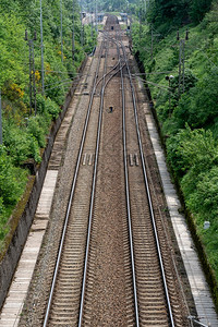 对两条铁路线的浏览自然树火车图片
