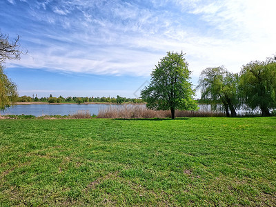自然景观夏天湖边的绿草甸夏天湖边的绿草甸经过图片