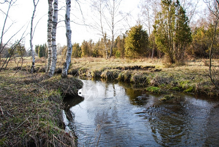 来自瑞典群岛奥兰的农村地貌中流淌着溪绿色自然荒野图片