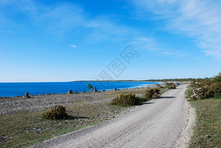 在瑞典群岛奥兰北部的沿海公路上停风北方绕组杜松背景图片