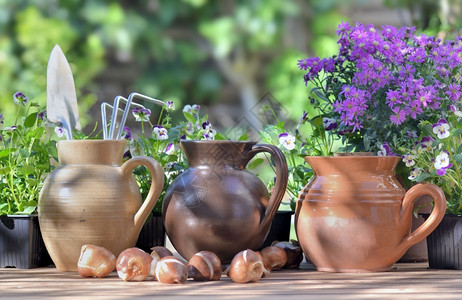 将园艺工具放在一个水壶里与其他人一起放在桌子上花园里有和灯泡罐陶器朵图片