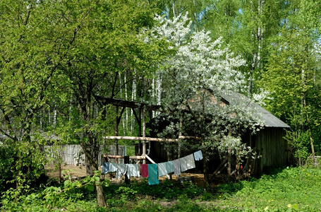 院子干燥春的农村住宅后院还有一棵开花的树关于一个棚子衣服图片