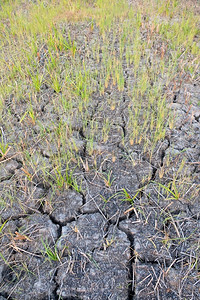 农村地区土的裂口clay沙漠质地干燥热环境图片