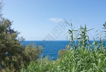 夏天马耳他语经过9月在马耳他阳光明媚的一天地中海以南马耳他部的鸟岛FilflaBird岛FilflaFirfla背景图片