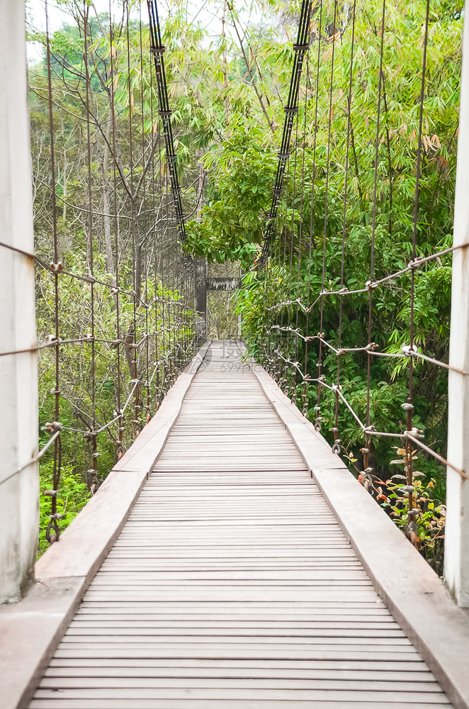 公园冒险悬吊桥的步行道叶子图片