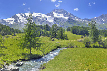 溪流阿尔卑斯山高上美丽的景色滑雪胜地冰川和绿草原与一条小河绿色图片