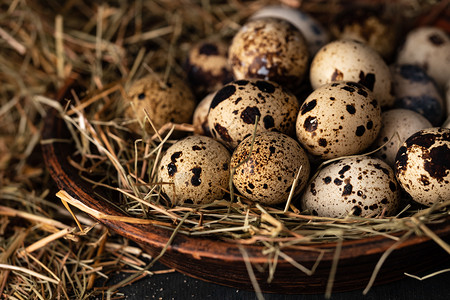 团体生态在稻巢中打鸡蛋一种图片