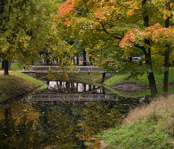 树叶季节城市电视数字摄影机背景图片