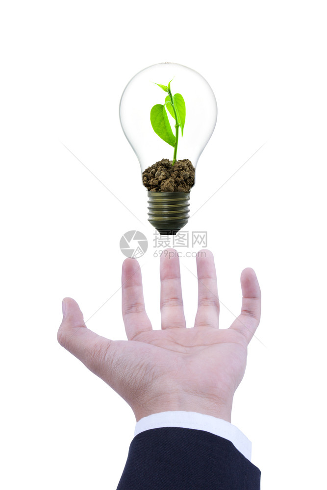 绿色电灯泡中的小型装置保护概念树图片