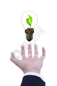 绿色电灯泡中的小型装置保护概念树背景图片