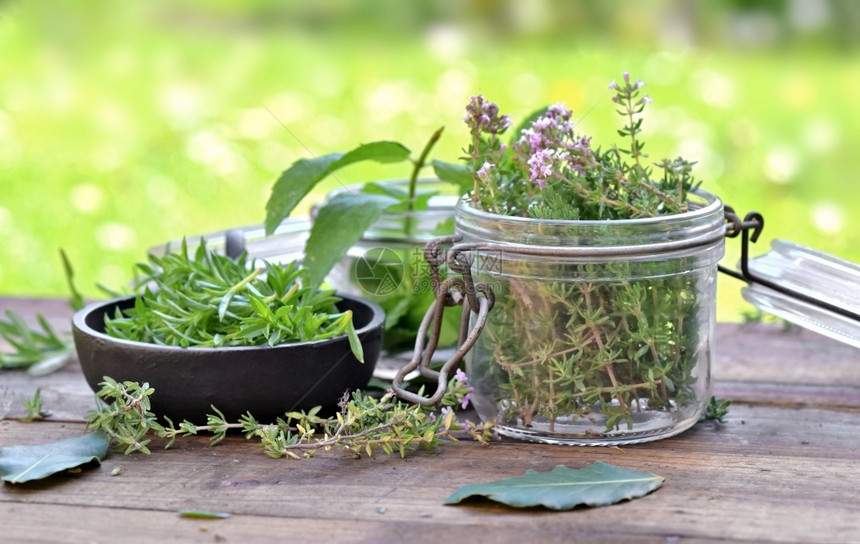 薄荷在花园的桌子上用玻璃罐装在瓶里的新鲜芳香植物基本的油图片