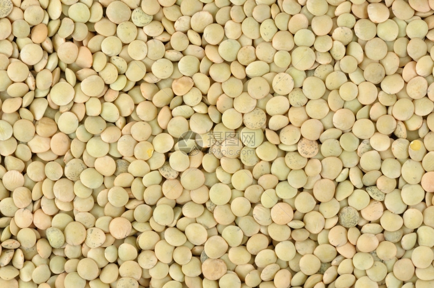 庄稼扁豆种子在白色背景上接近收获保持图片