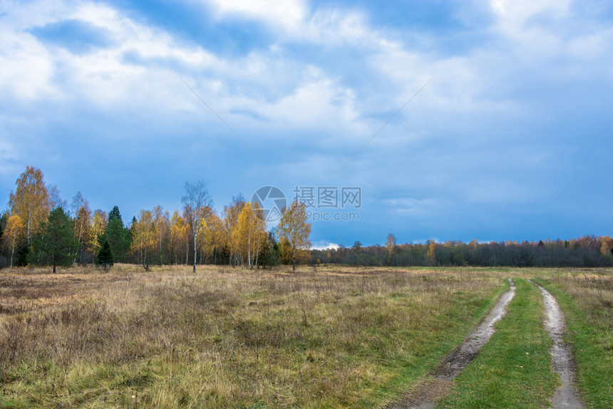 叶子景观俄罗斯中部10月的美丽秋天风景在俄罗斯中部的十月一日自然图片