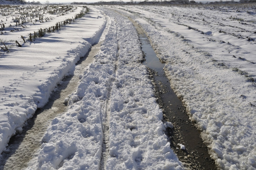 白色的季节农场布列塔尼的雪下路径图片