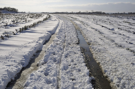 季节车道小路布列塔尼的雪下路径图片