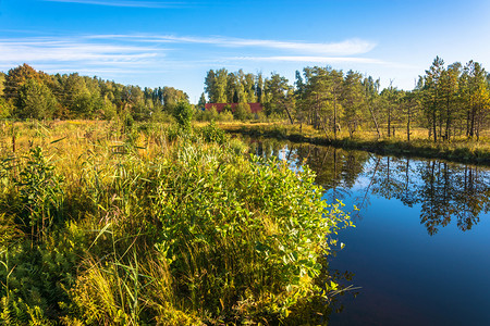 美丽的秋天风景清晨阳光有个小湖颜色绿草图片