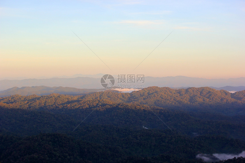 有雾树风景照片山丘的海雾图片