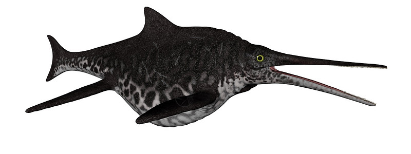 蓝斑黄貂鱼在白色背景中分离的Shonisaurus恐龙鱼3D渲染形象的使成为白色设计图片