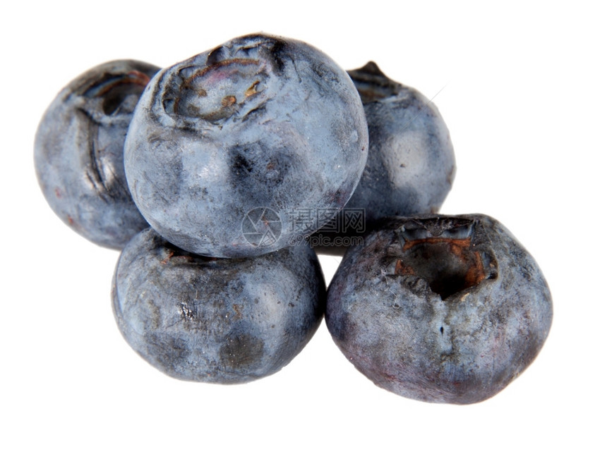 新鲜的吃白色背景上被孤立的新鲜蓝莓群色的图片