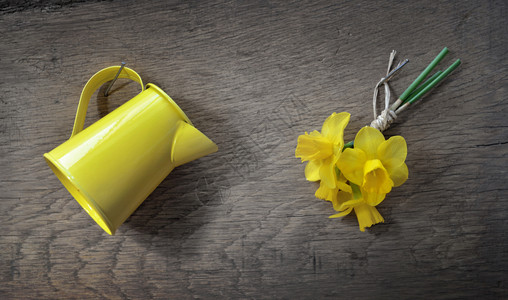 花水和黄罐头的小花束和黄色罐头挂在木板上桶花瓣水仙图片